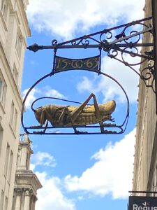 grasshopper
